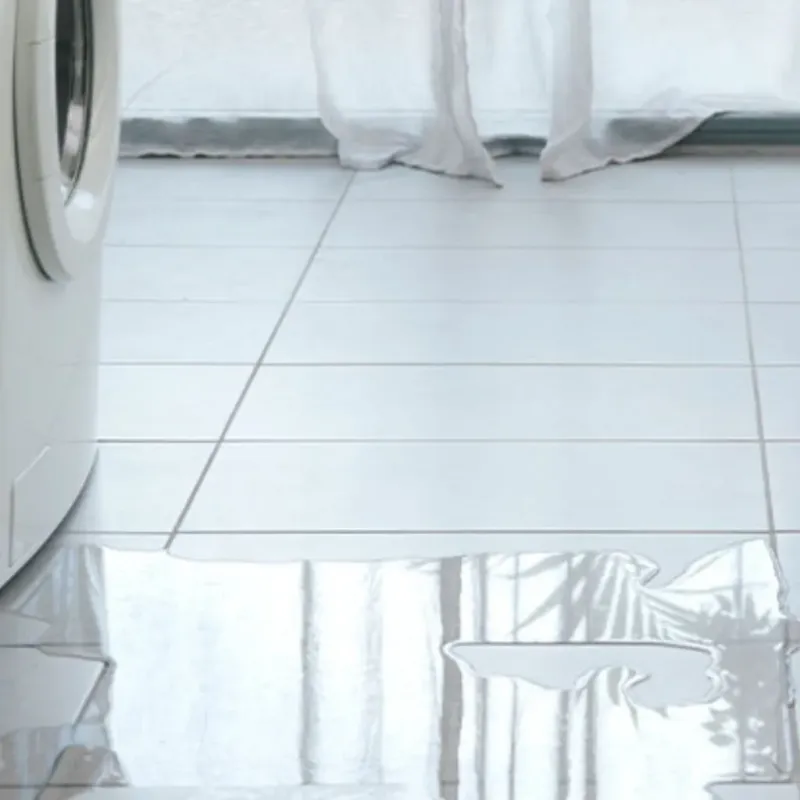 Appliance Leak Cleanup in Hot Springs, AR